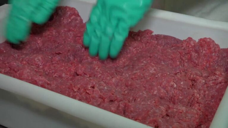 Diferencias entre hamburguesas de carne de res y b&uacute;falo